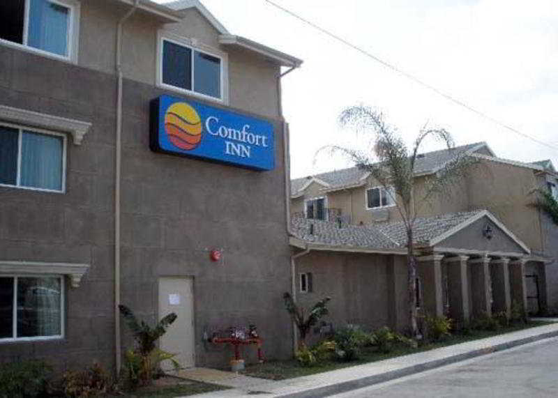 הות'ורן Comfort Inn Cockatoo Near Lax מראה חיצוני תמונה